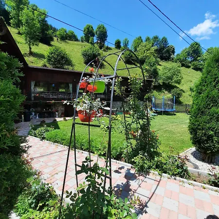 Casa Dana Olteanu-3